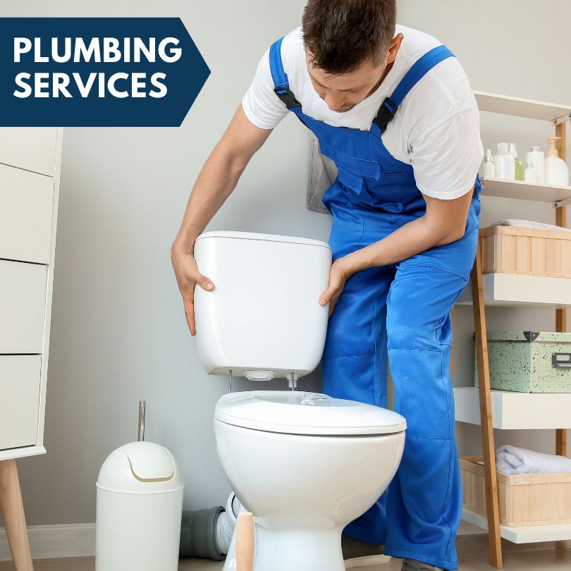 Plumbing Company in Carle Place, NY